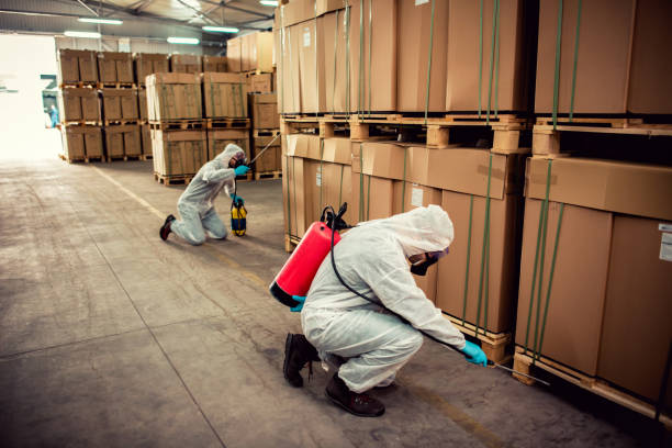 Best Local Pest Control Services  in Laware City, DE