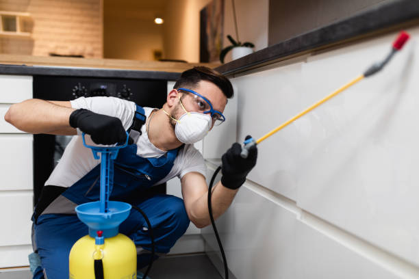 Best Bed Bug Extermination  in Laware City, DE