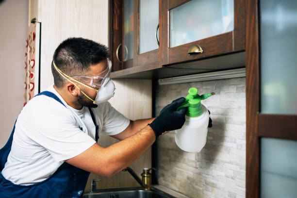 Best Pest Removal Services  in Laware City, DE