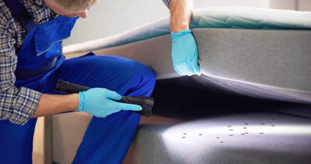 Best Mosquito Control Services  in Laware City, DE